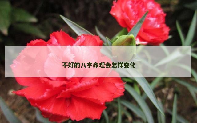 不好的八字命理会怎样变化