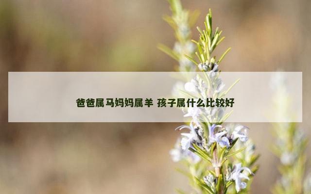爸爸属马妈妈属羊 孩子属什么比较好