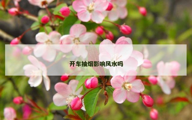 开车抽烟影响风水吗