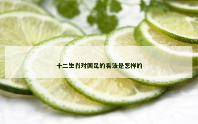 十二生肖对国足的看法是怎样的