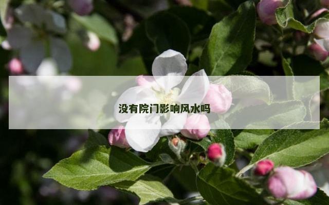 没有院门影响风水吗