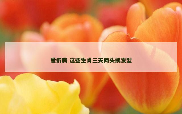爱折腾 这些生肖三天两头换发型