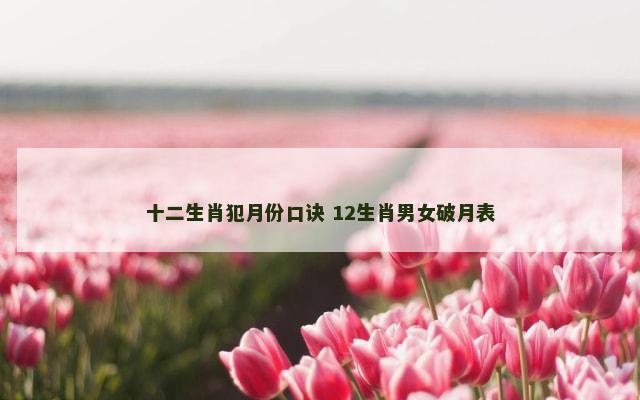 十二生肖犯月份口诀 12生肖男女破月表