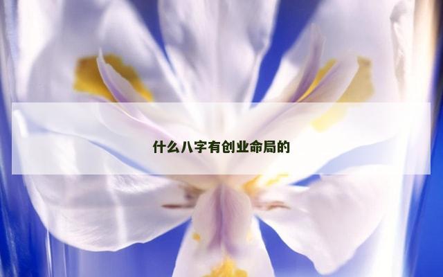 什么八字有创业命局的