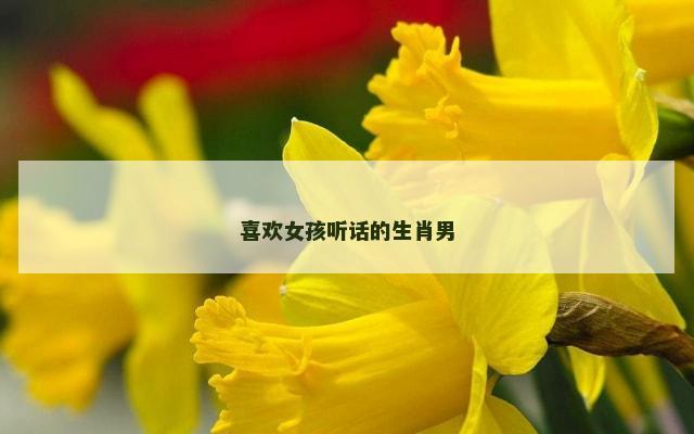 喜欢女孩听话的生肖男