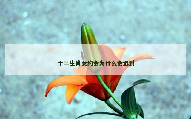 十二生肖女约会为什么会迟到
