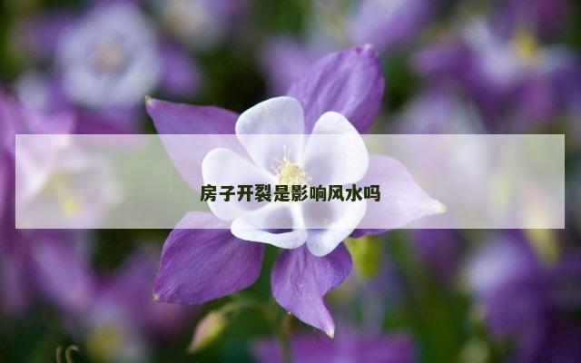 房子开裂是影响风水吗