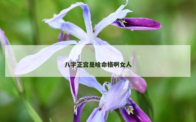 八字正宫是啥命格啊女人