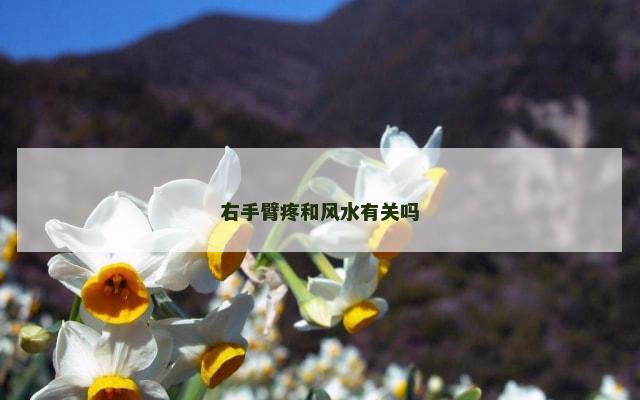右手臂疼和风水有关吗