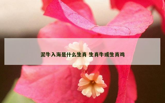 泥牛入海是什么生肖 生肖牛或生肖鸡