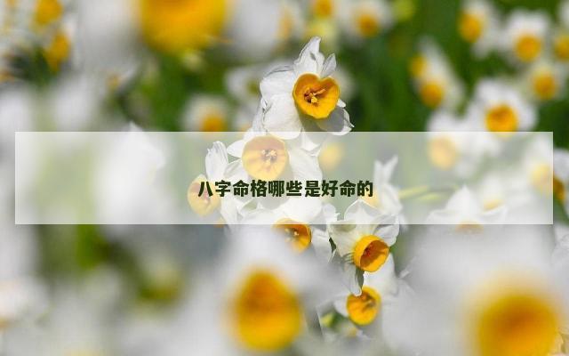 八字命格哪些是好命的