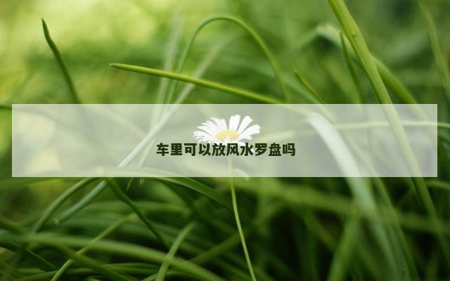 车里可以放风水罗盘吗