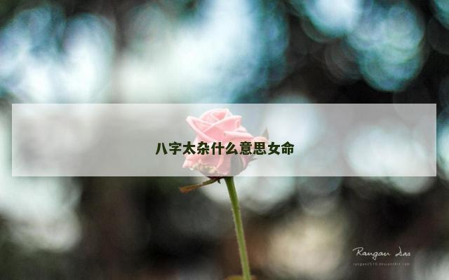 八字太杂什么意思女命