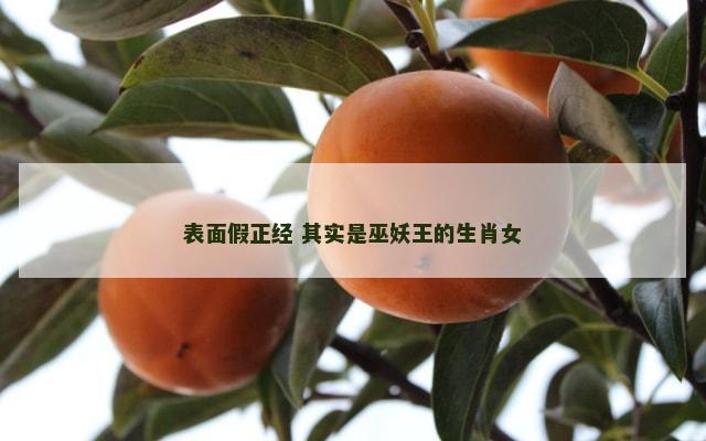 表面假正经 其实是巫妖王的生肖女