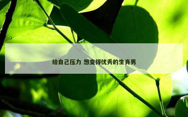 给自己压力 想变得优秀的生肖男