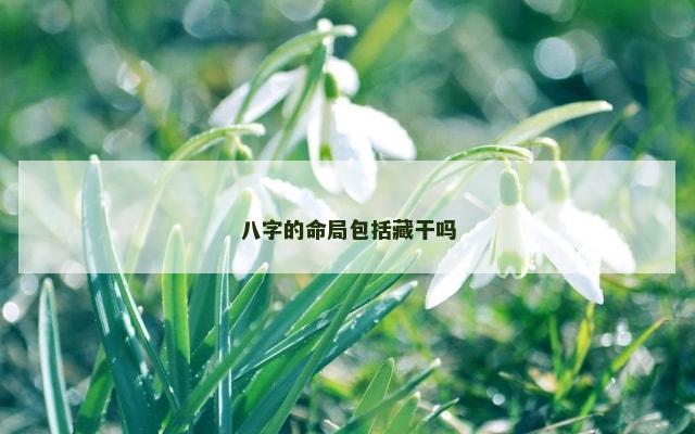 八字的命局包括藏干吗