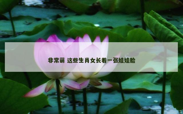 非常萌 这些生肖女长着一张娃娃脸