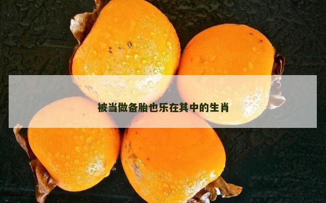 被当做备胎也乐在其中的生肖