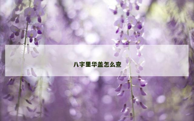 八字里华盖怎么查