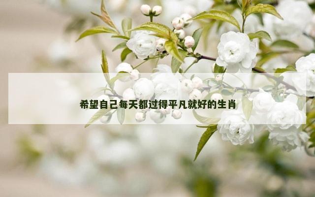 希望自己每天都过得平凡就好的生肖