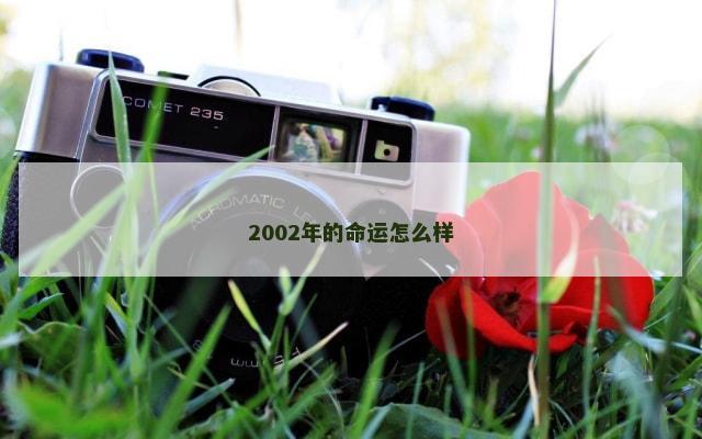 2002年的命运怎么样