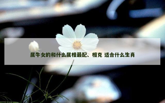 属牛女的和什么属相最配、相克 适合什么生肖