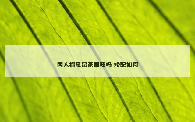 两人都属鼠家里旺吗 婚配如何