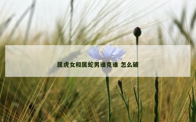 属虎女和属蛇男谁克谁 怎么破