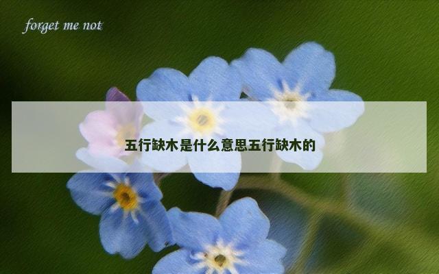 五行缺木是什么意思五行缺木的