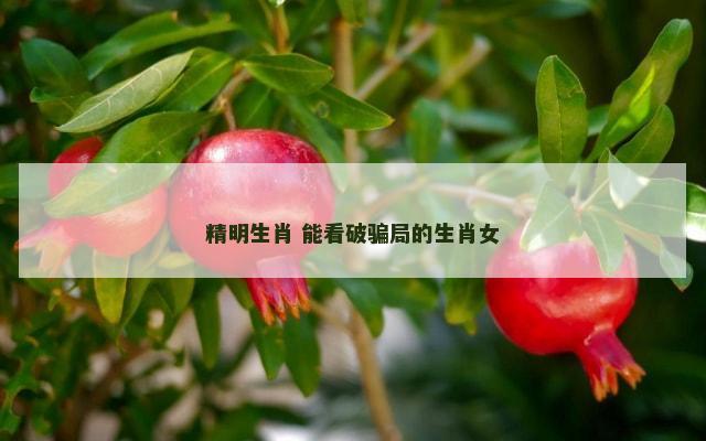 精明生肖 能看破骗局的生肖女