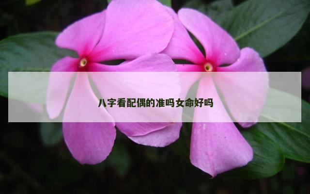 八字看配偶的准吗女命好吗