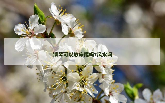 钢琴可以放床尾吗?风水吗