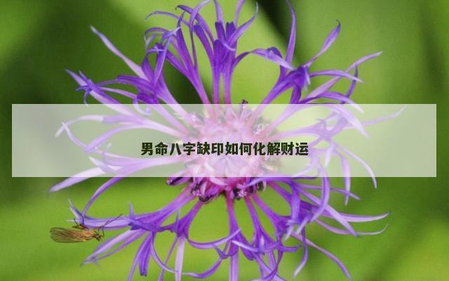 男命八字缺印如何化解财运