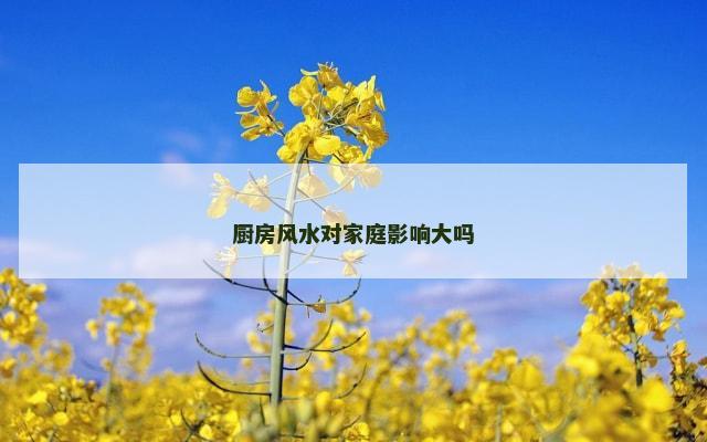 厨房风水对家庭影响大吗