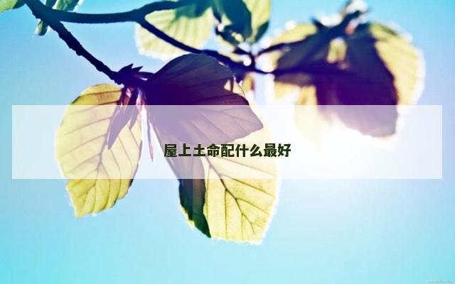 屋上土命配什么最好