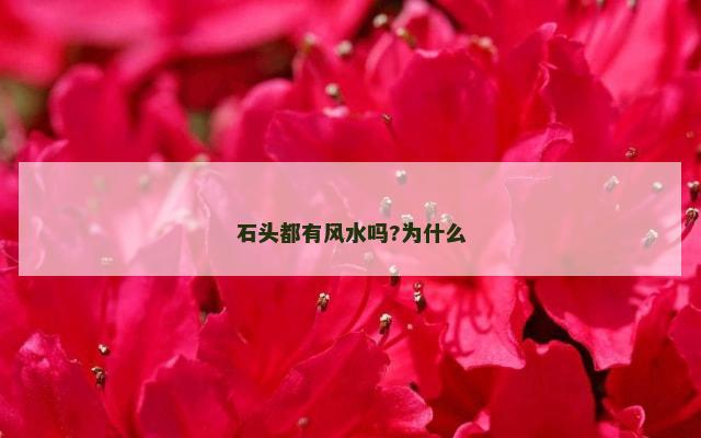 石头都有风水吗?为什么