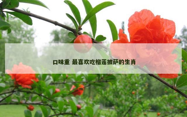 口味重 最喜欢吃榴莲披萨的生肖