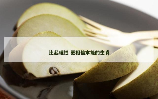 比起理性 更相信本能的生肖