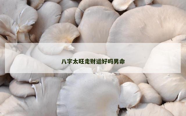 八字太旺走财运好吗男命