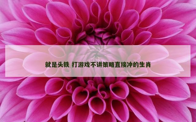 就是头铁 打游戏不讲策略直接冲的生肖