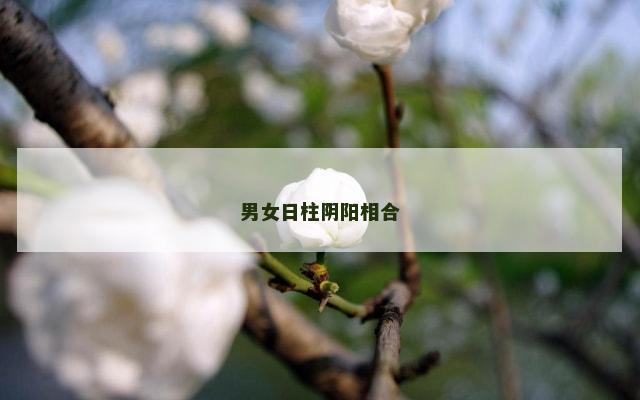男女日柱阴阳相合