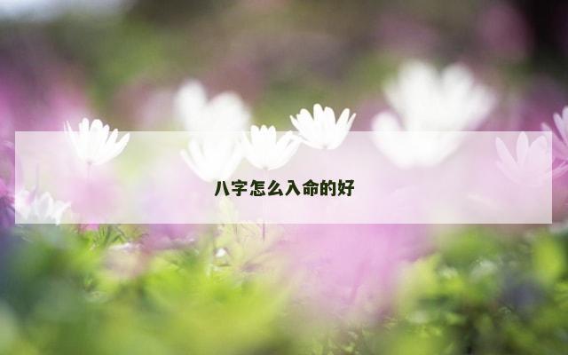 八字怎么入命的好