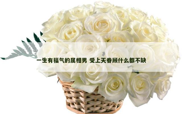 一生有福气的属相男 受上天眷顾什么都不缺
