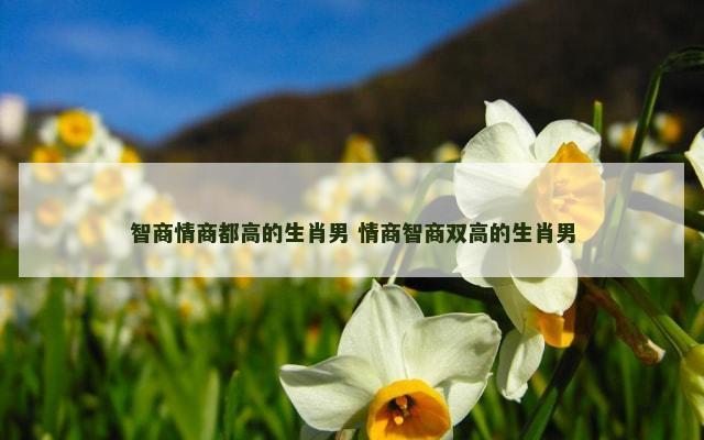 智商情商都高的生肖男 情商智商双高的生肖男