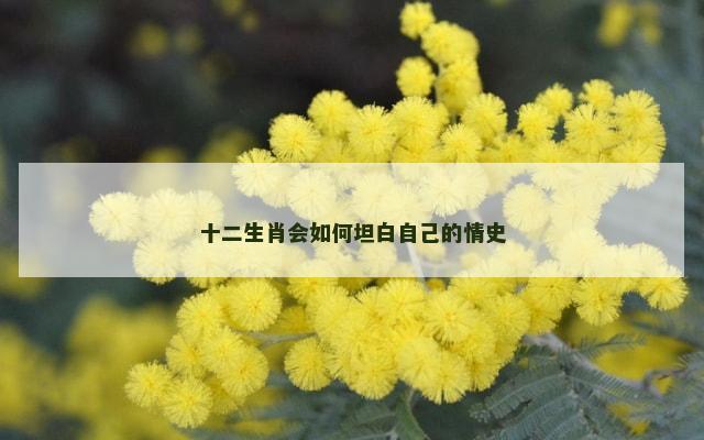 十二生肖会如何坦白自己的情史