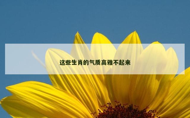 这些生肖的气质高雅不起来