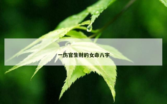 一伤官生财的女命八字