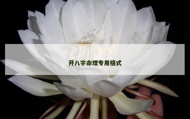 开八字命理专用格式