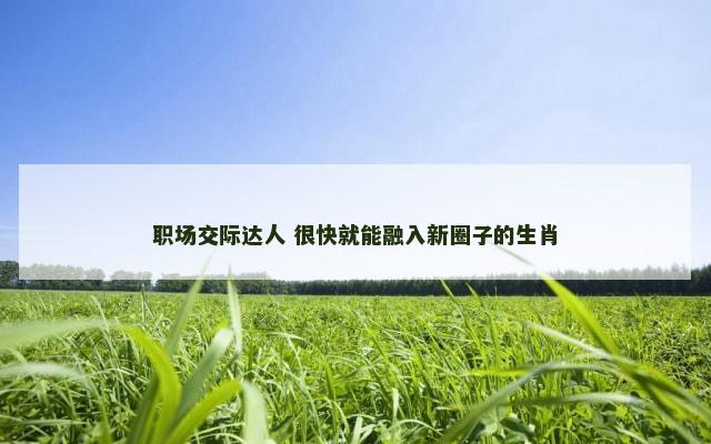 职场交际达人 很快就能融入新圈子的生肖