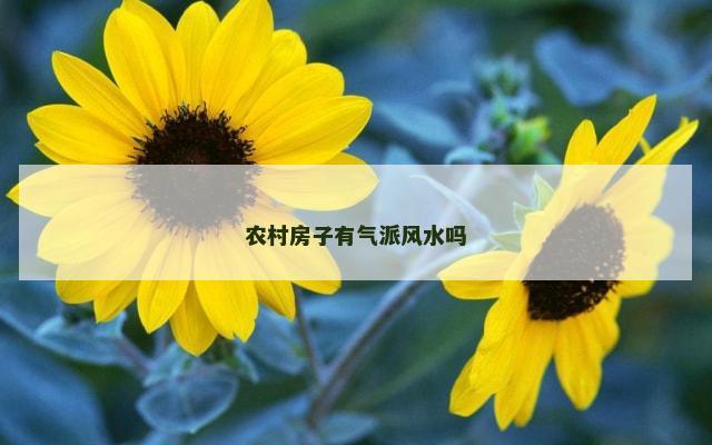 农村房子有气派风水吗